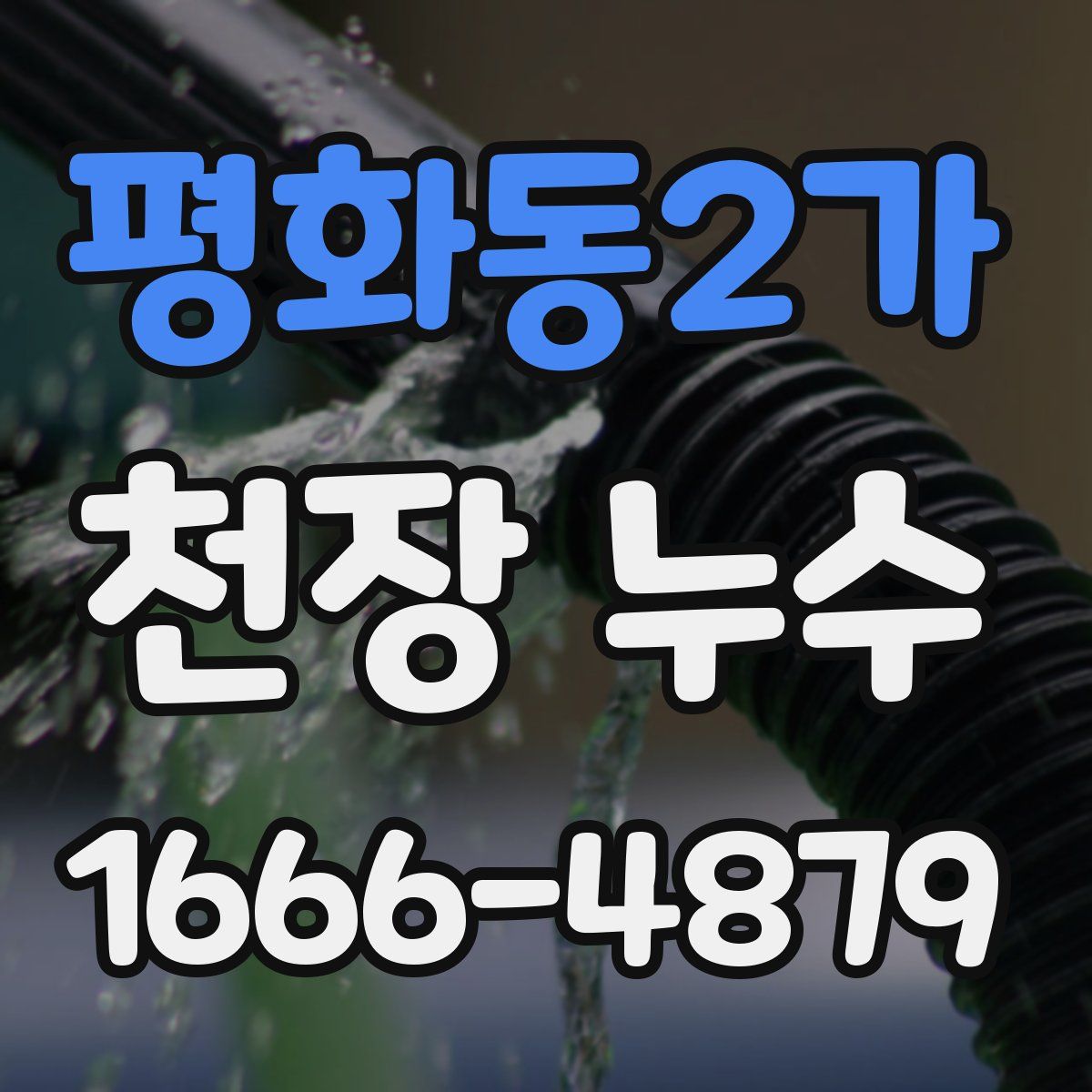 평화동2가 천장 누수