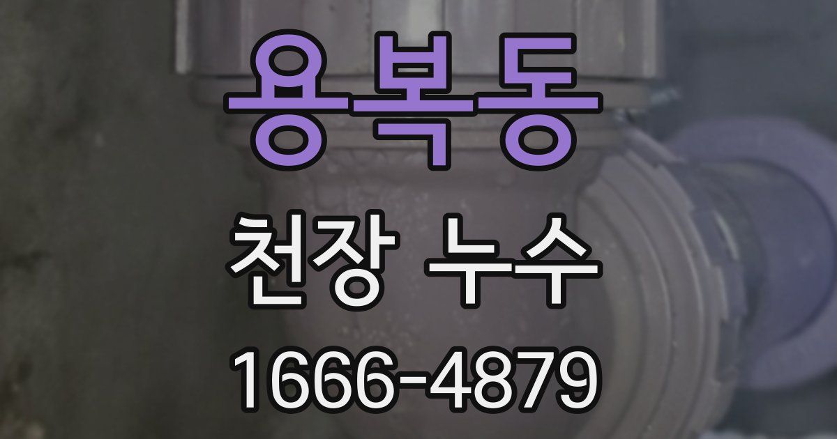 용복동 천장 누수