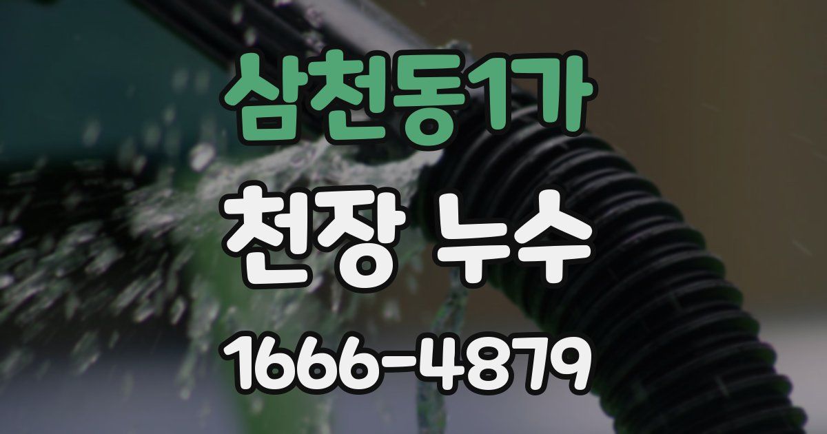 삼천동1가 천장 누수