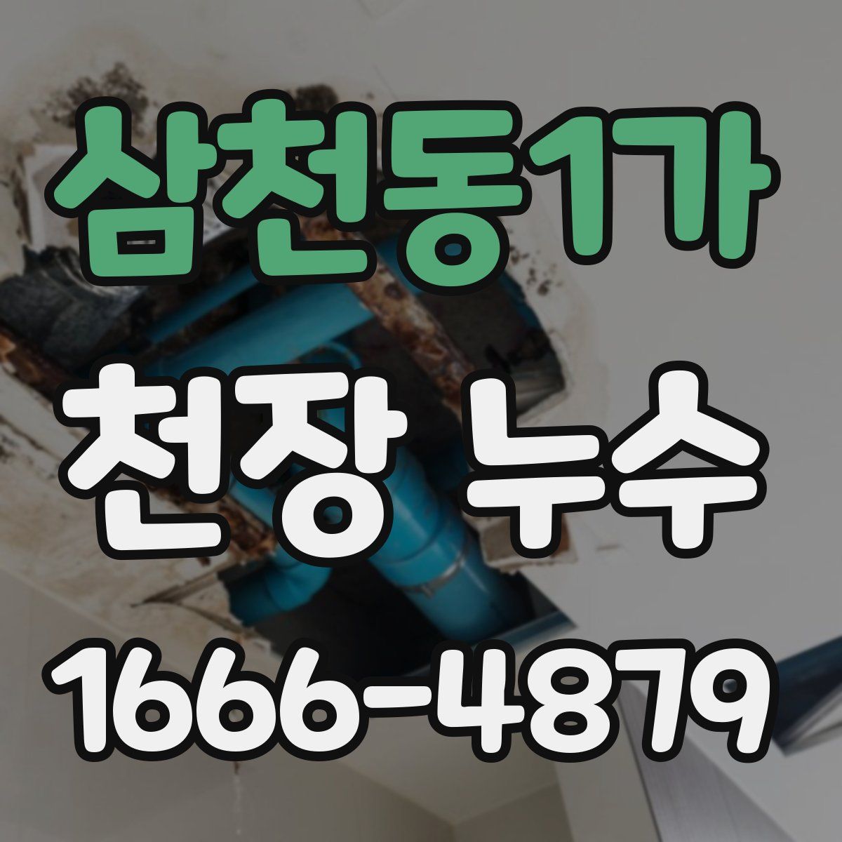 삼천동1가 천장 누수