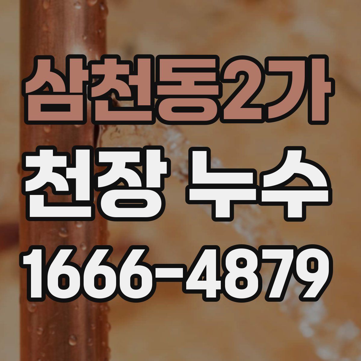 삼천동2가 천장 누수