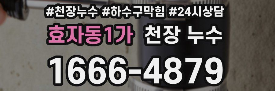 효자동1가 천장 누수