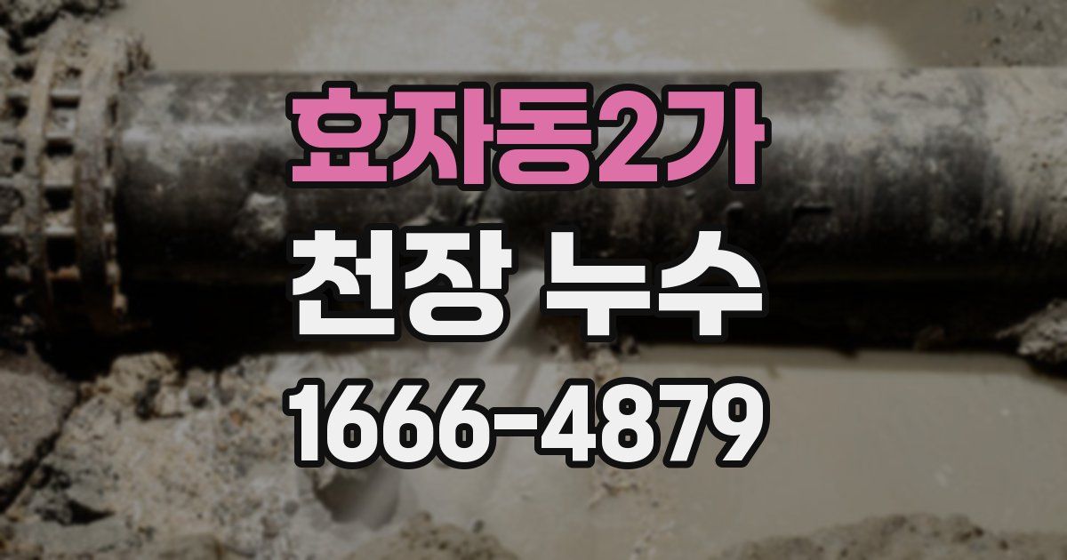 효자동2가 천장 누수