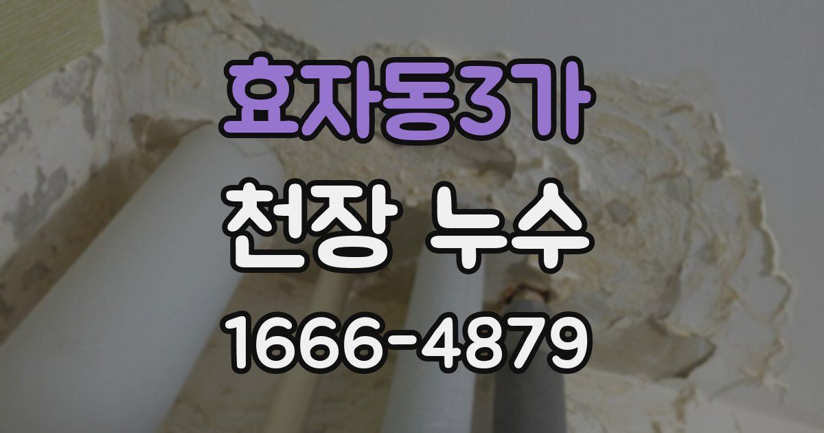 효자동3가 천장 누수
