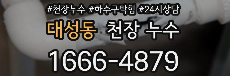 대성동 천장 누수