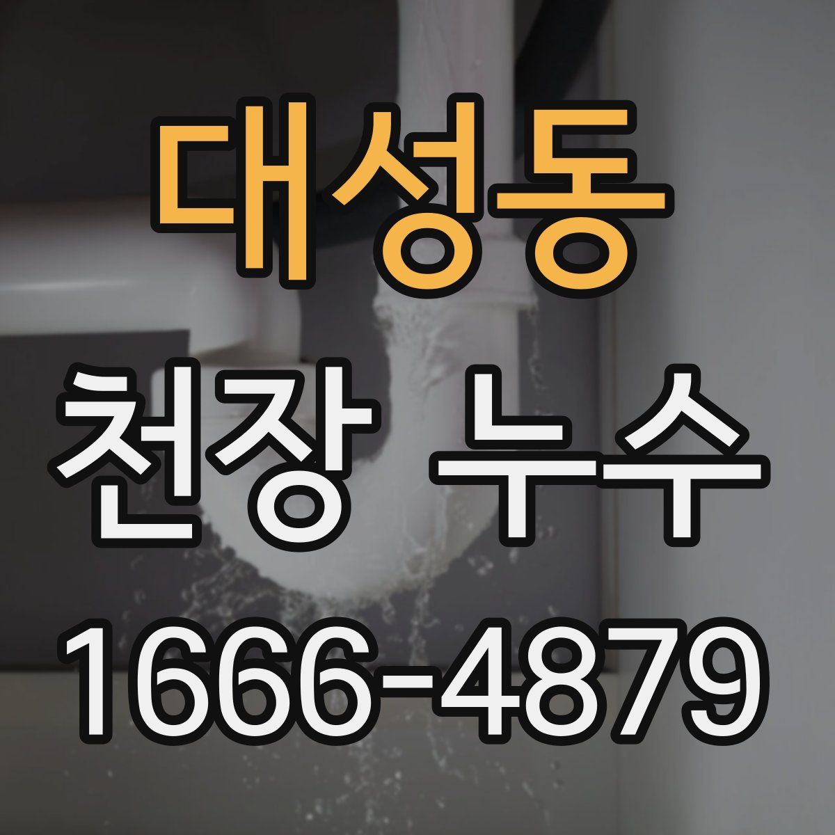 대성동 천장 누수