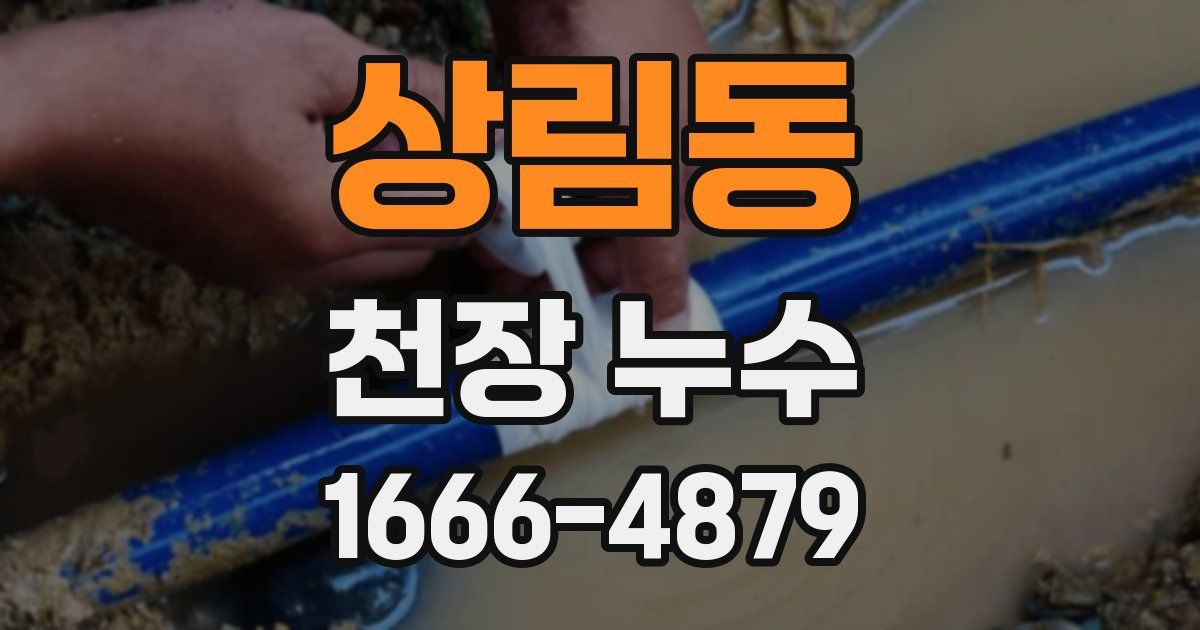 상림동 천장 누수