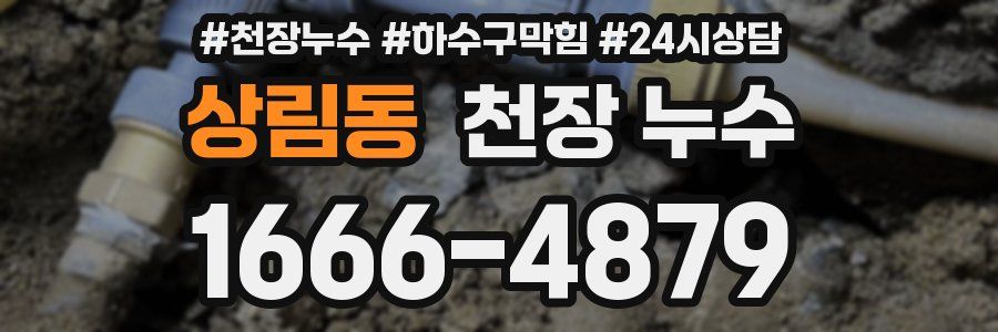 상림동 천장 누수