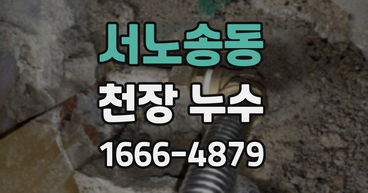 서노송동 천장 누수