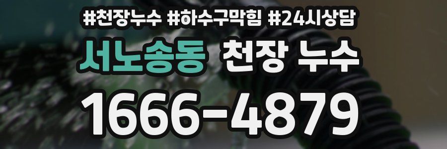 서노송동 천장 누수