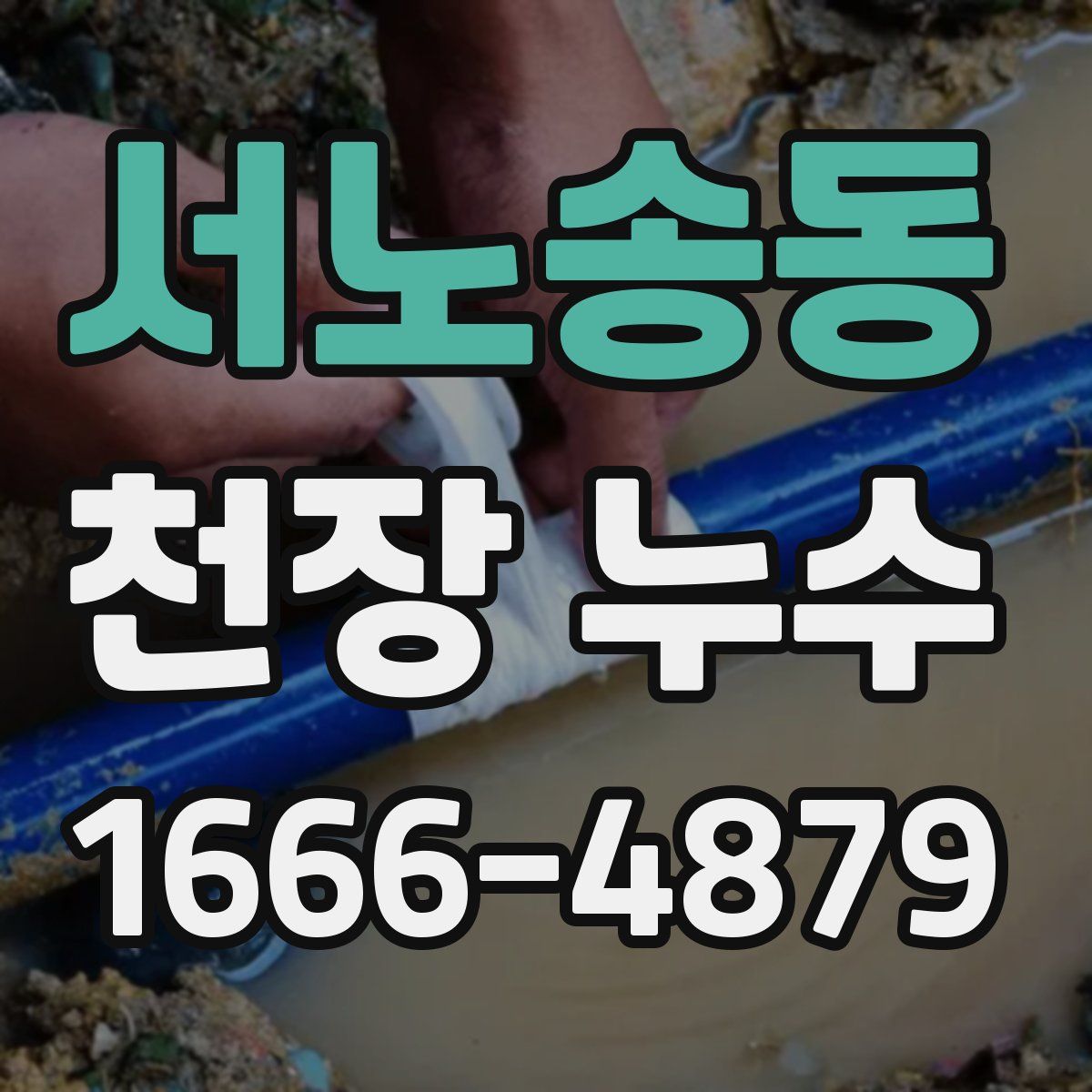 서노송동 천장 누수