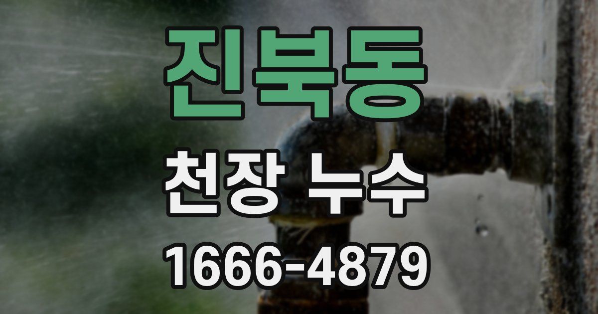 진북동 천장 누수
