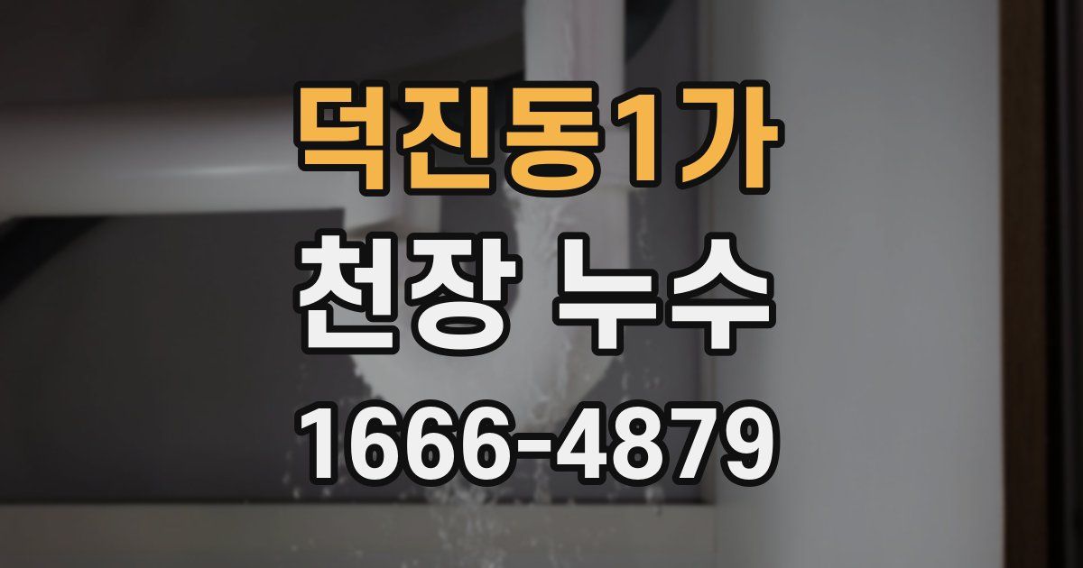 덕진동1가 천장 누수