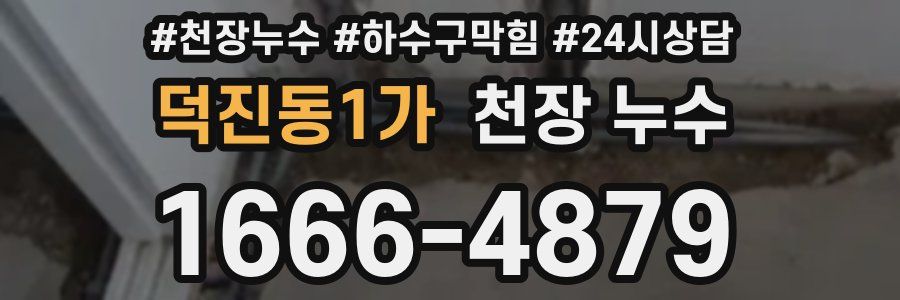 덕진동1가 천장 누수
