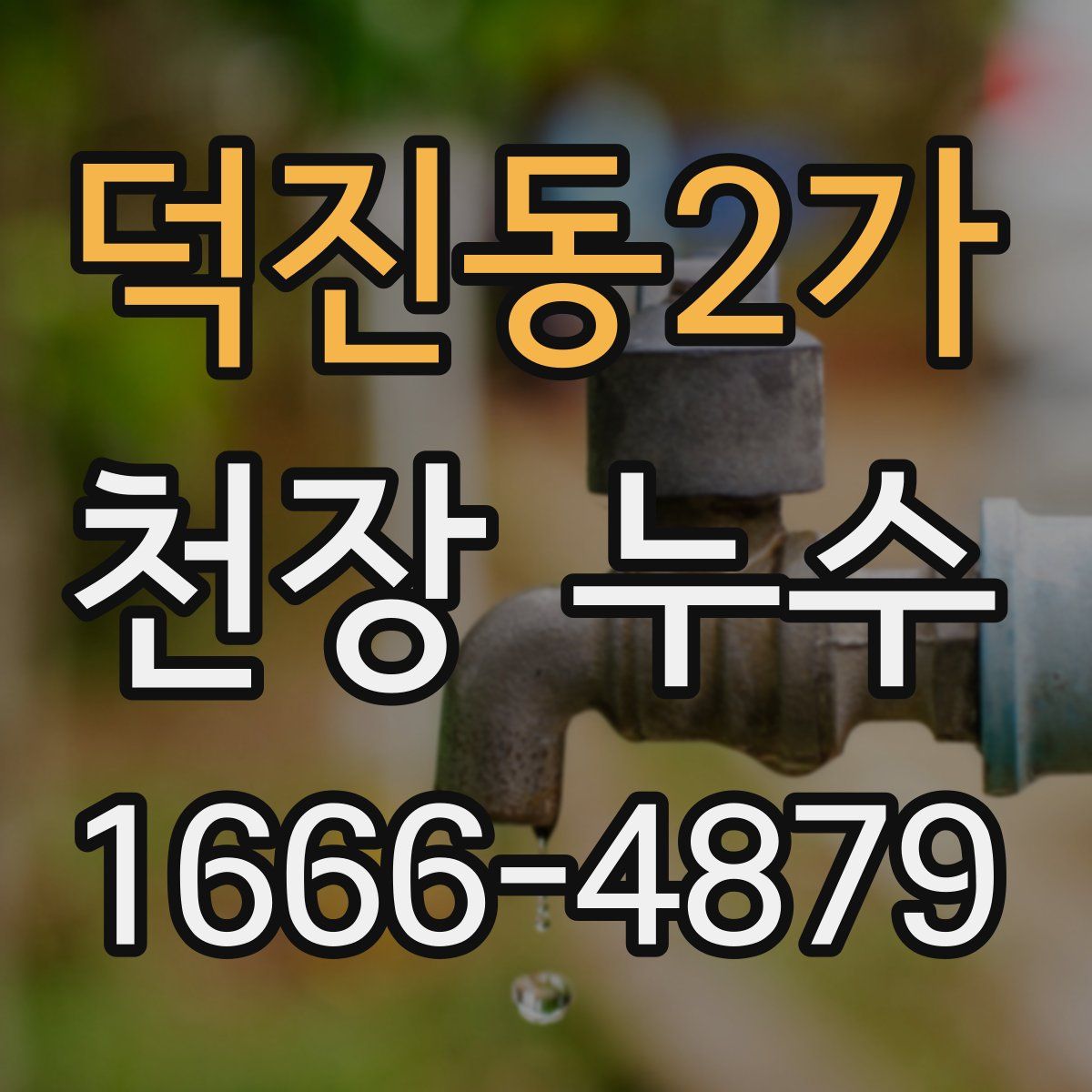 덕진동2가 천장 누수