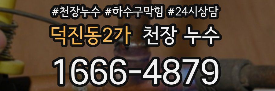 덕진동2가 천장 누수