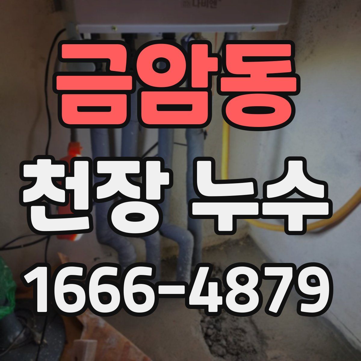 금암동 천장 누수