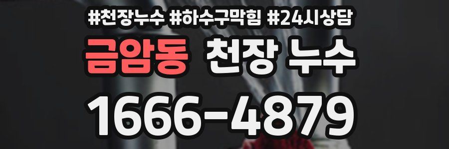 금암동 천장 누수