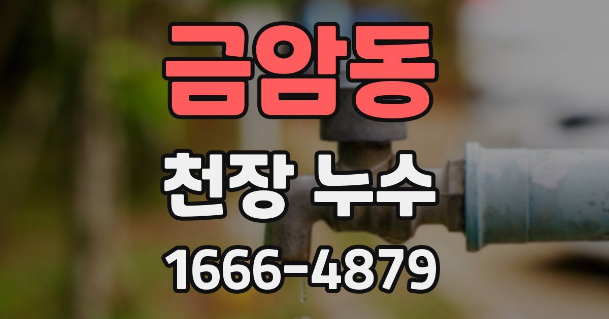 금암동 천장 누수