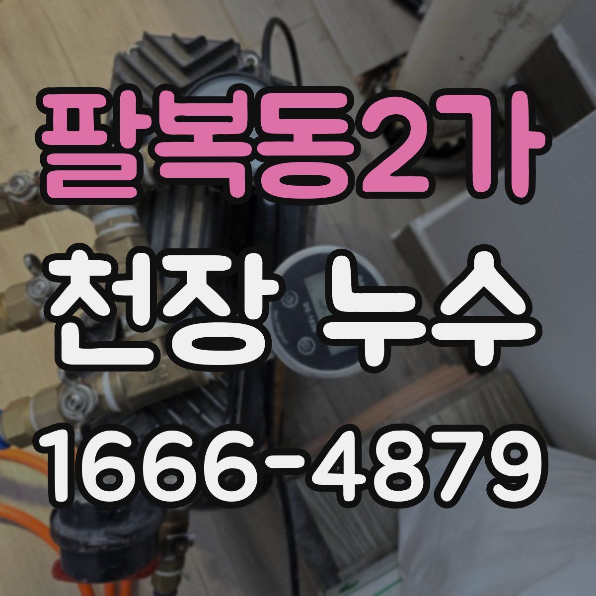 팔복동2가 천장 누수