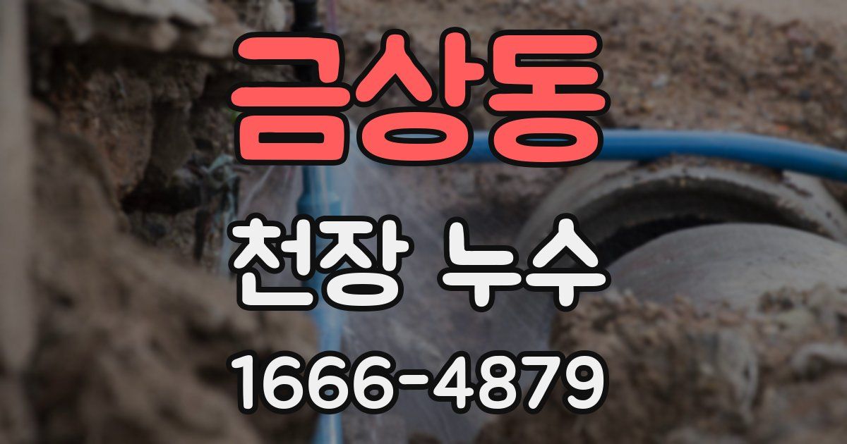 금상동 천장 누수