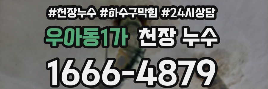 우아동1가 천장 누수
