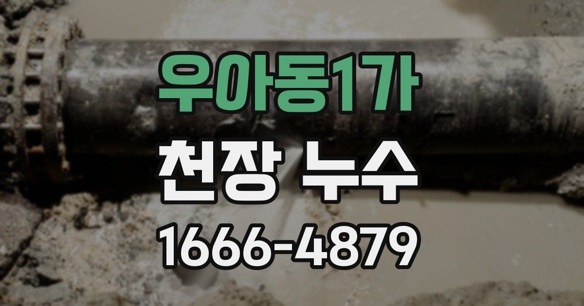 우아동1가 천장 누수