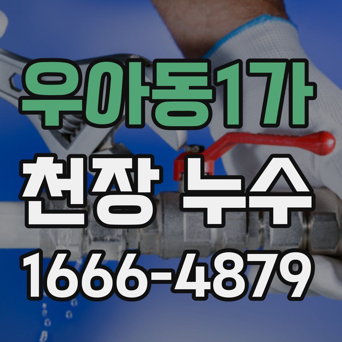 우아동1가 천장 누수