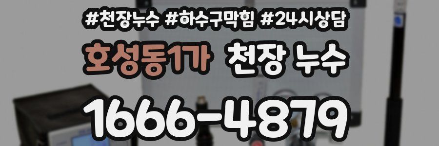 호성동1가 천장 누수