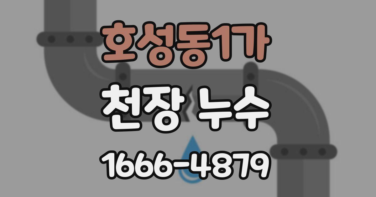 호성동1가 천장 누수