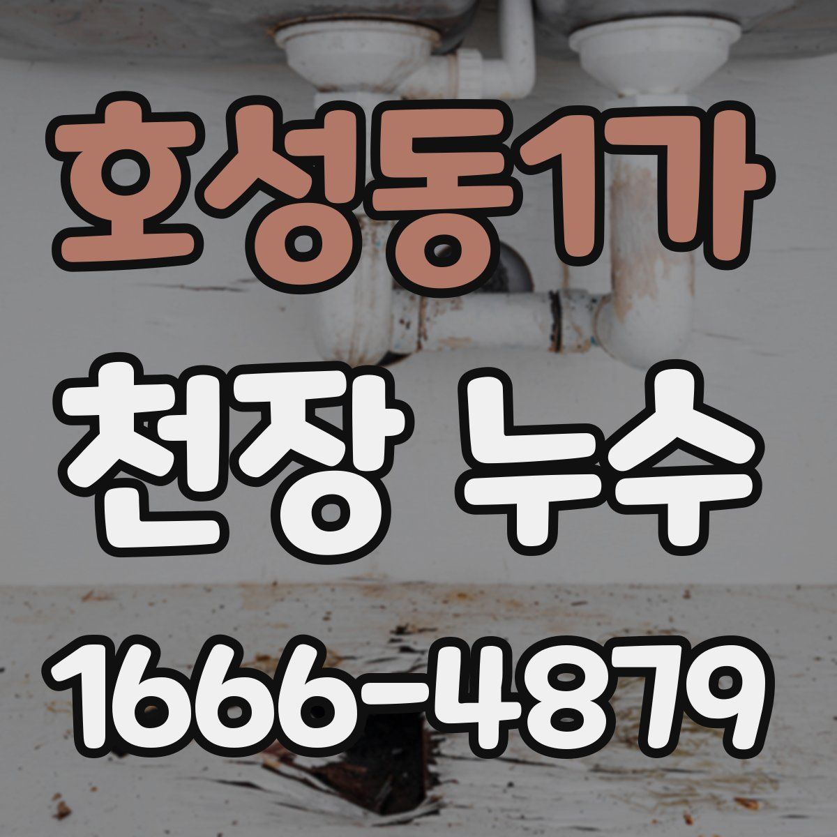 호성동1가 천장 누수