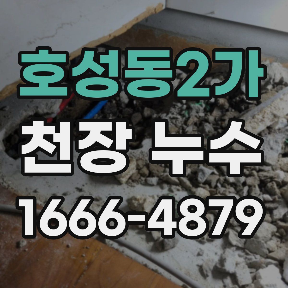 호성동2가 천장 누수