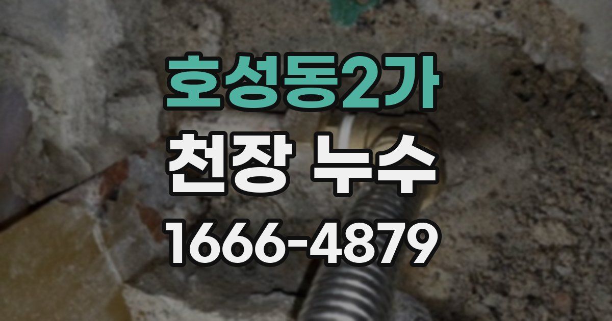 호성동2가 천장 누수