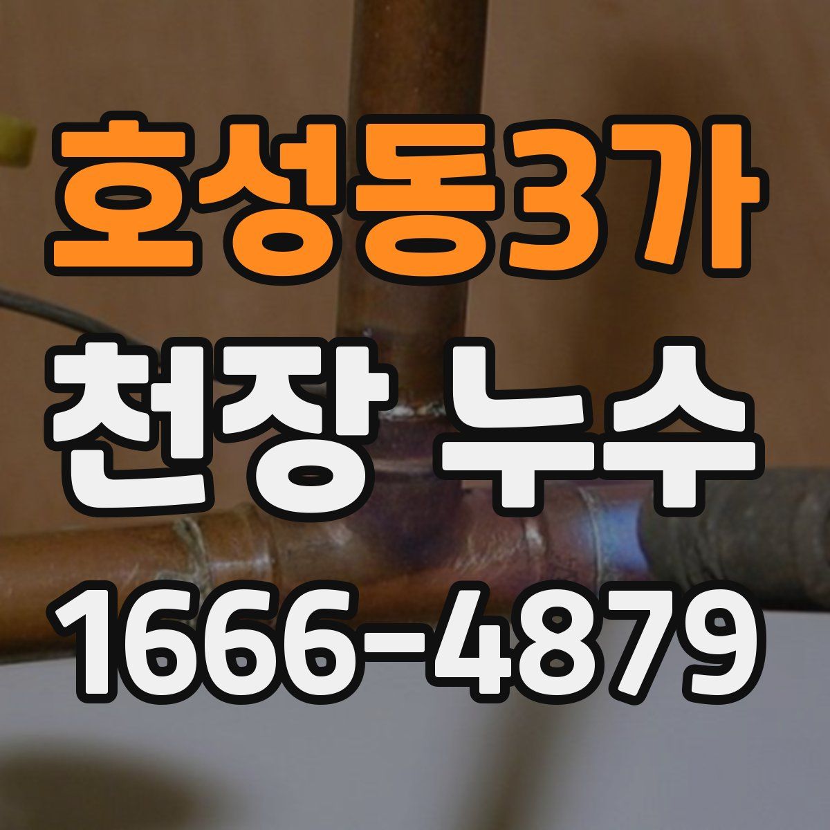 호성동3가 천장 누수