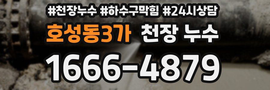 호성동3가 천장 누수
