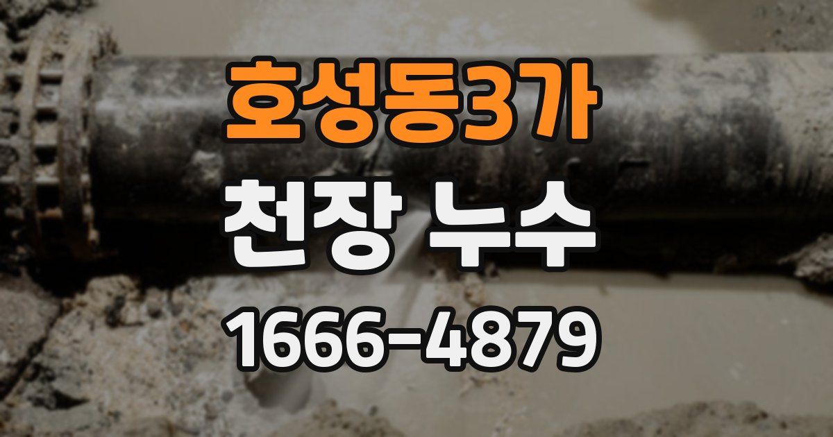 호성동3가 천장 누수