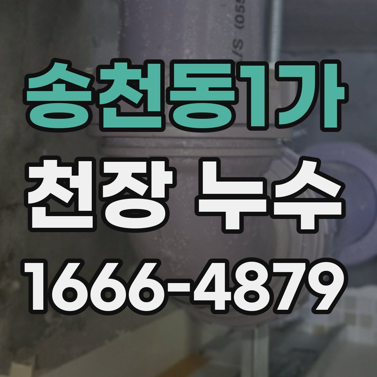 송천동1가 천장 누수