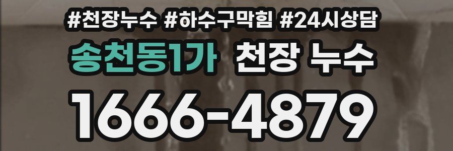 송천동1가 천장 누수