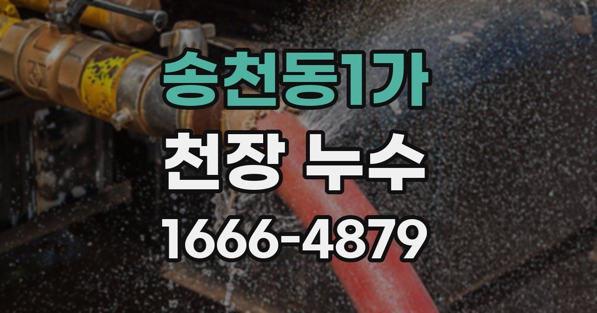 송천동1가 천장 누수