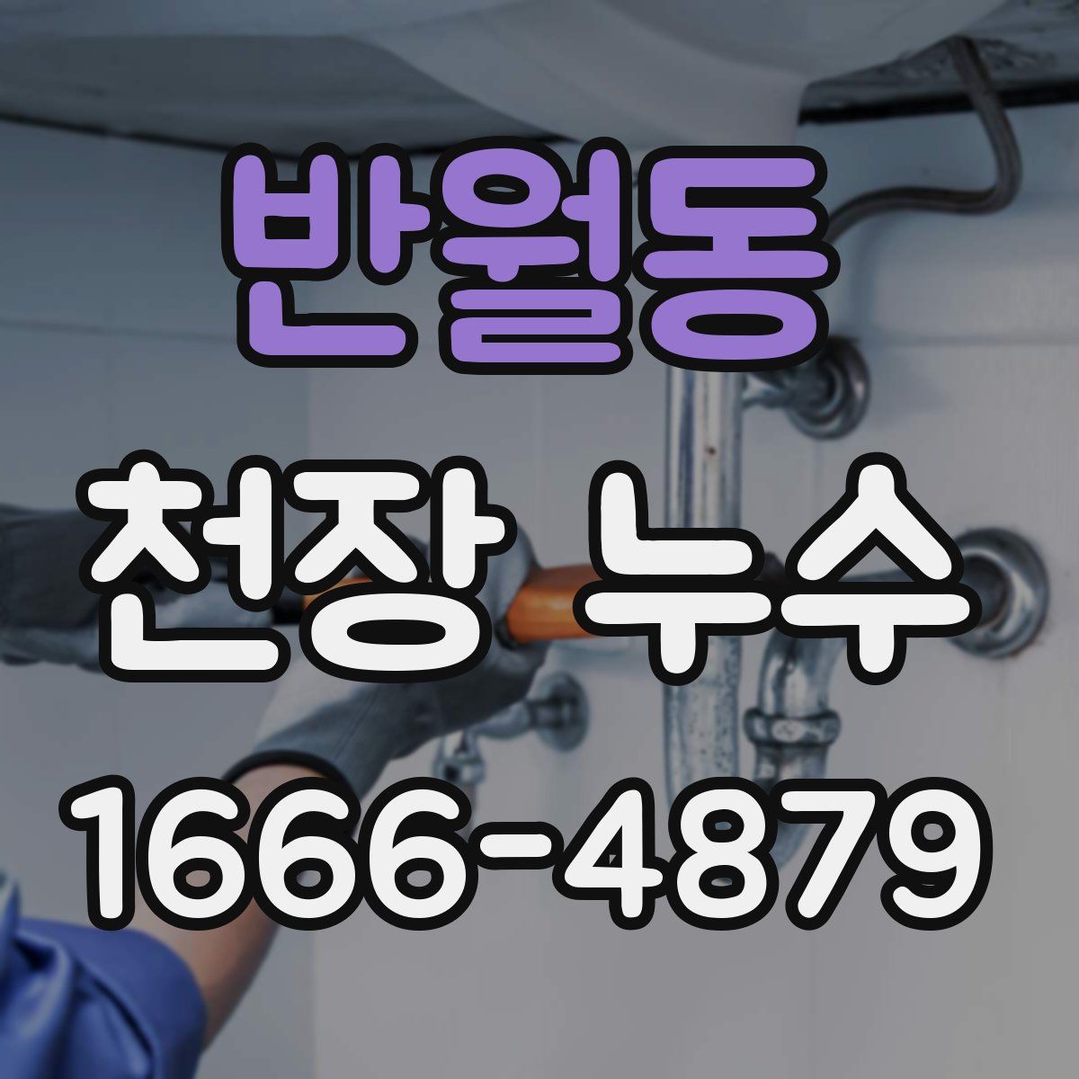 반월동 천장 누수