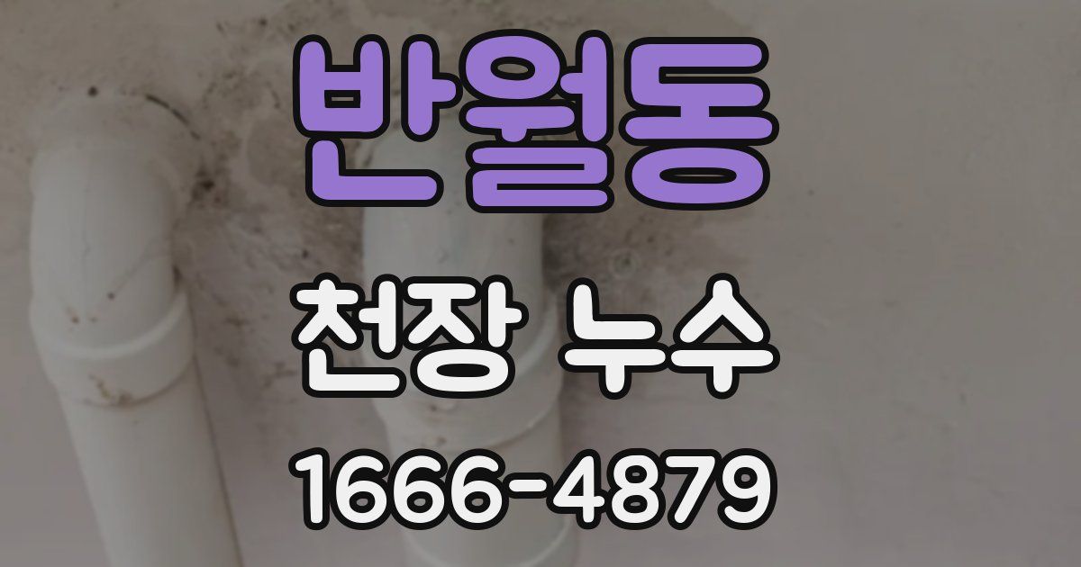 반월동 천장 누수