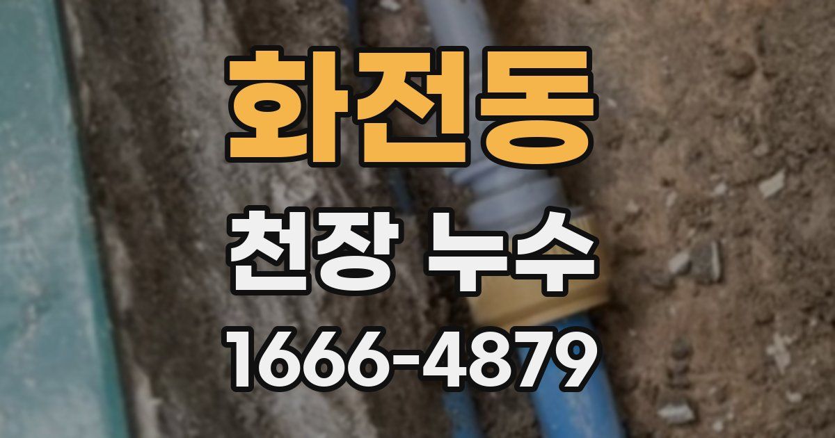 화전동 천장 누수