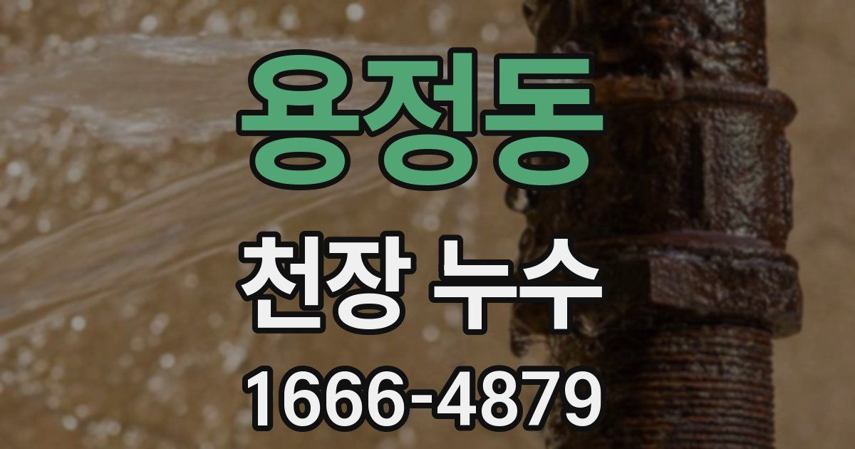 용정동 천장 누수