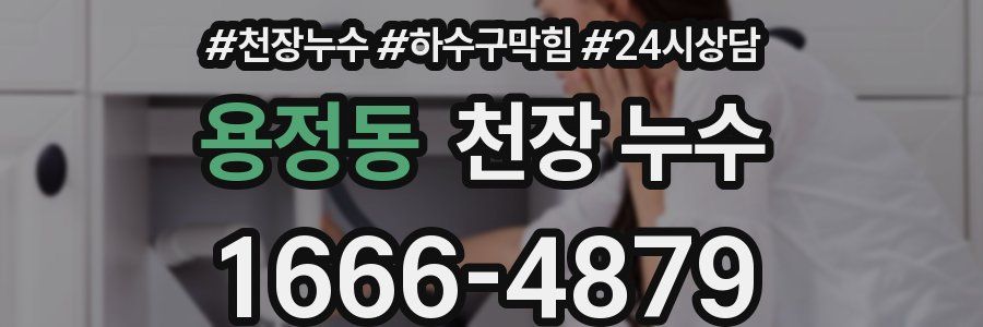 용정동 천장 누수