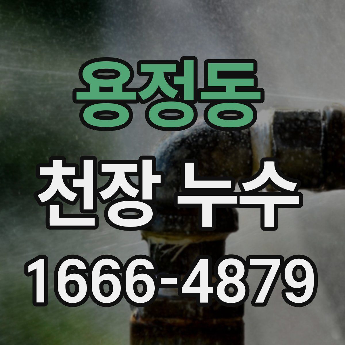 용정동 천장 누수