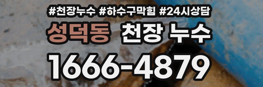 성덕동 천장 누수