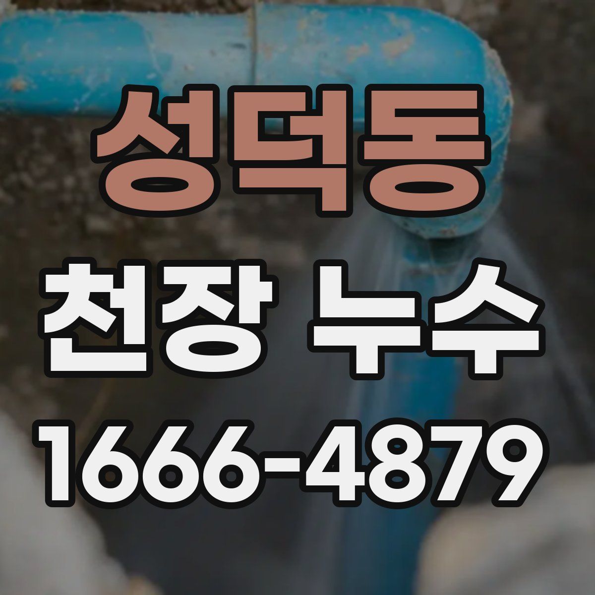 성덕동 천장 누수