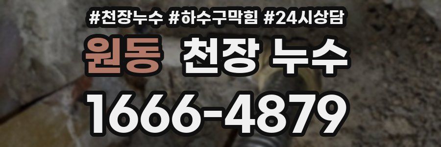 원동 천장 누수