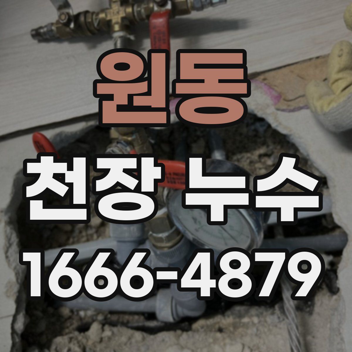 원동 천장 누수