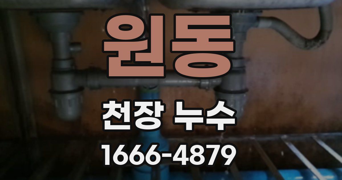 원동 천장 누수